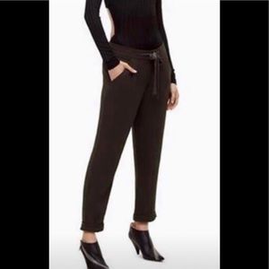 Aritzia Wilfred Allant Pants size 2, worn once